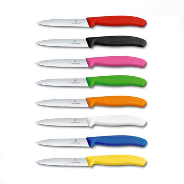 סכין ירקות שפיץ משונן 10 ס"מ ויקטורינוקס | Victorinox