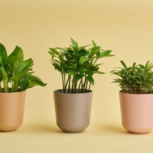 a664f66d-2b77-4dd4-a0d5-8e2afa0e6dc0