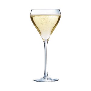 סט 6 כוס יין \ שמפניה \ קוקטייל - דגם בריאו 210 מ"ל Arcoroc