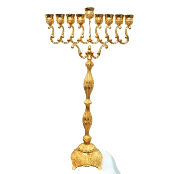 תבנית למוצרים אצל מישל (9)