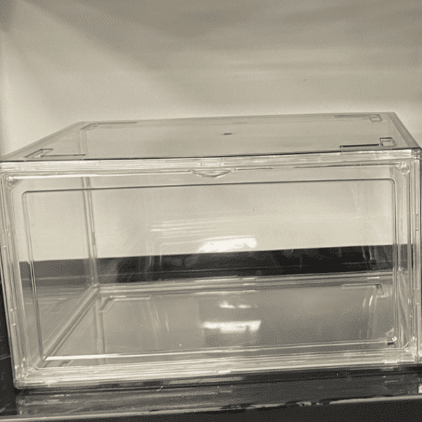 תבנית למוצרים אצל מישל