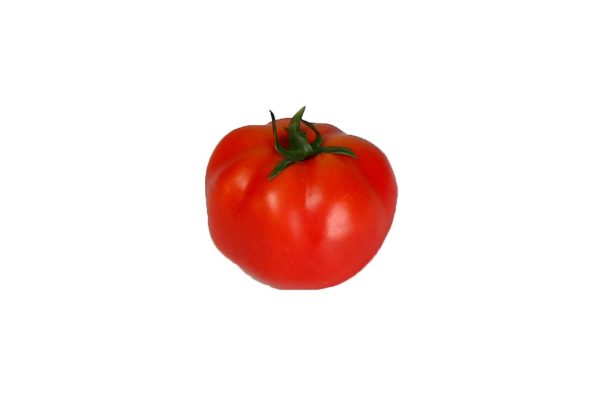 עגבניה לתצוגה (ליחידה)