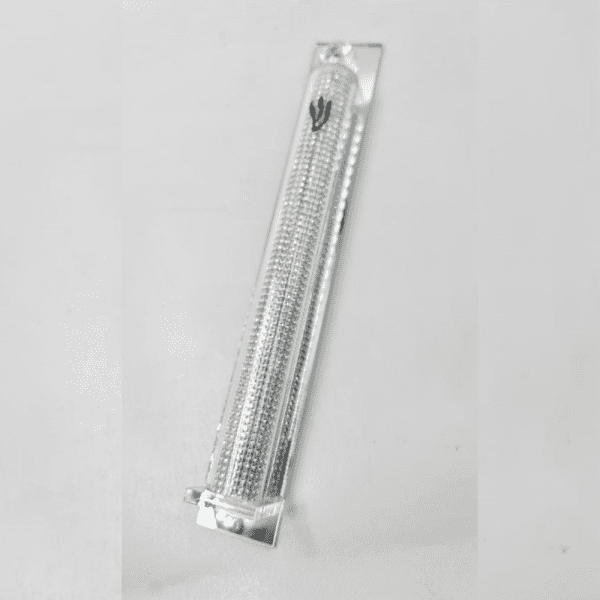 תבנית למוצרים אצל מישל (4)