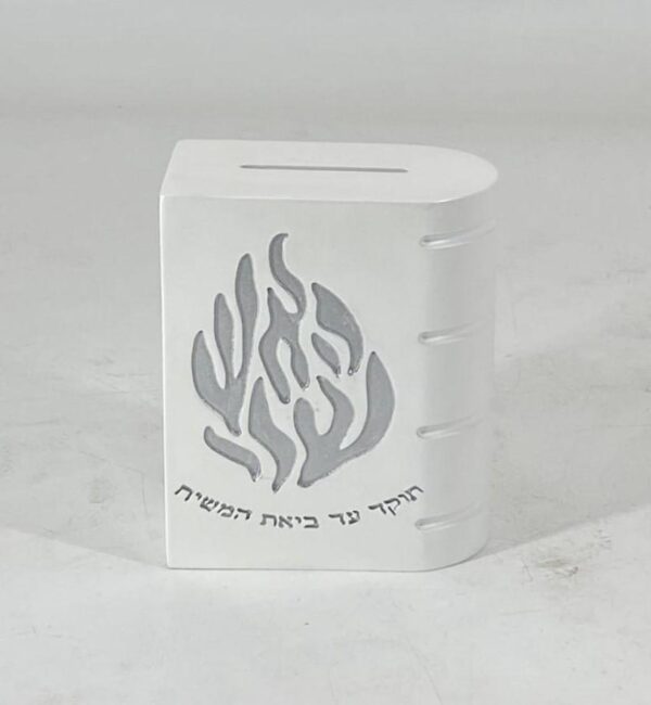 31bc5f21-5b84-40e6-bb62-e1405d75f509