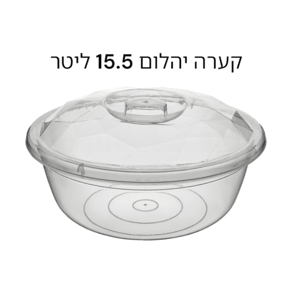 עריכת מוצרים אצל מישל - 2025-01-15T170126.900