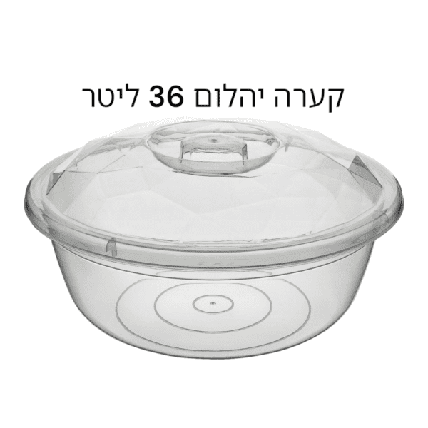 עריכת מוצרים אצל מישל - 2025-01-15T170308.761