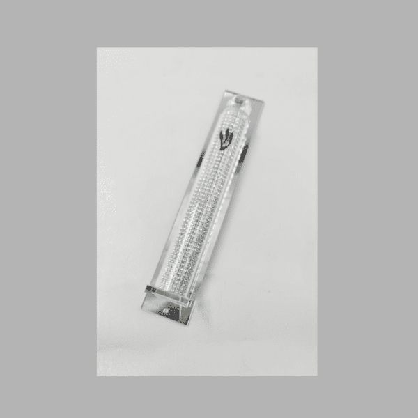 עריכת מוצרים אצל מישל - 2025-01-30T111516.057