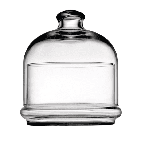 עריכת מוצרים אצל מישל - 2025-02-27T140612.668