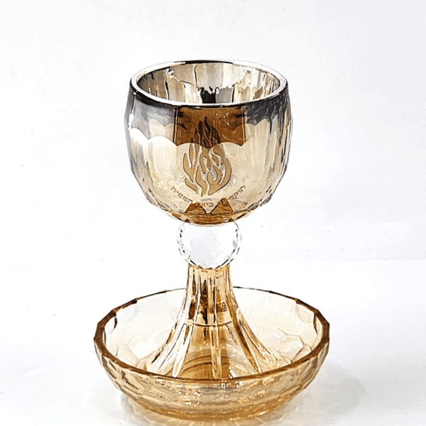 עריכת מוצרים אצל מישל - 2025-03-23T133643.651