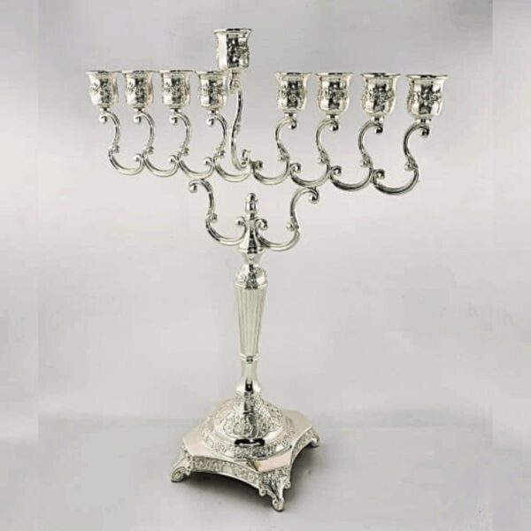 עריכת מוצרים אצל מישל (62)