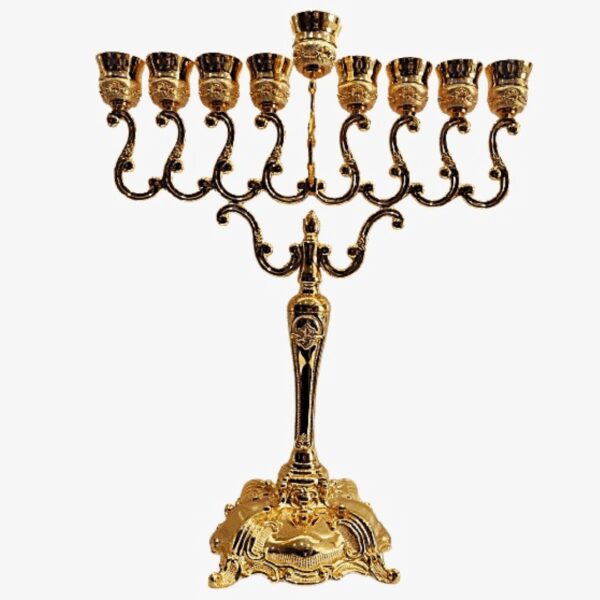 עריכת מוצרים אצל מישל (63)