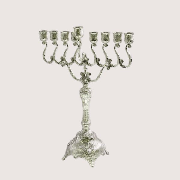 עריכת מוצרים אצל מישל (64)