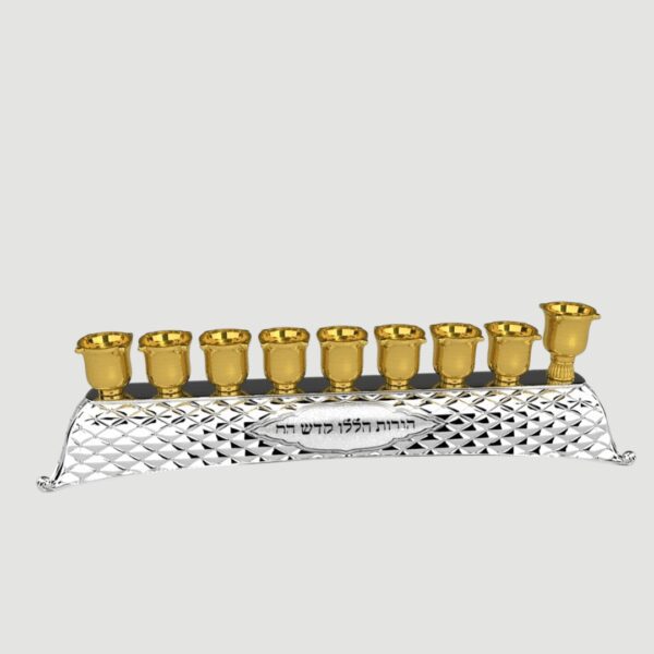 עריכת מוצרים אצל מישל (65)