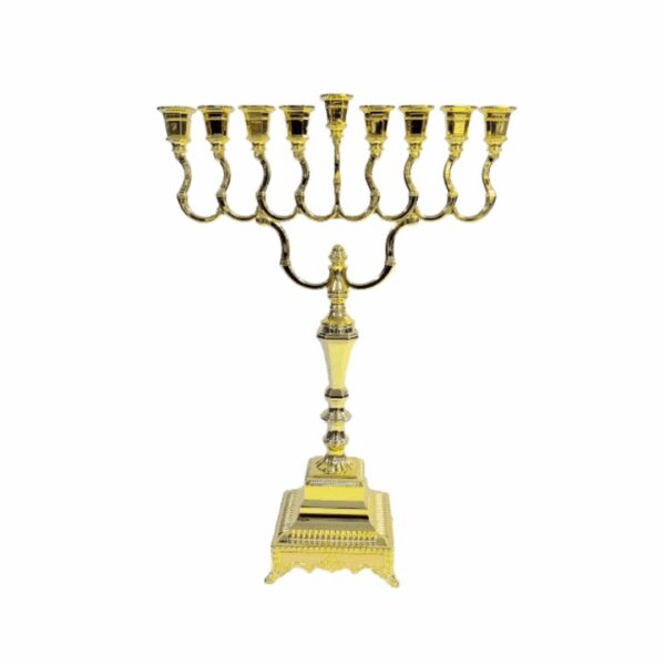 עריכת מוצרים אצל מישל (99)